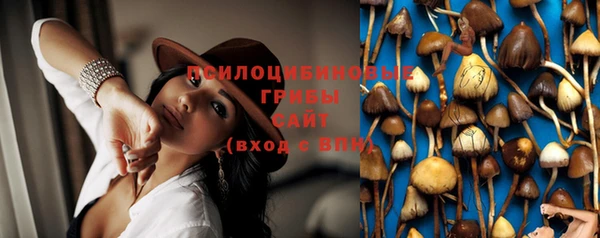 первитин Армянск